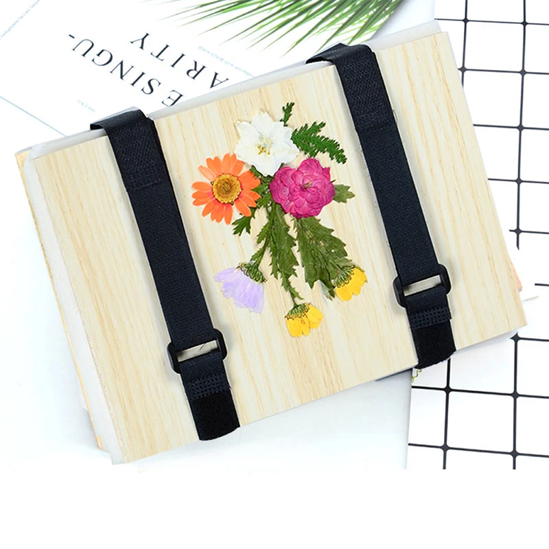 1 Set Plant Specimen Tool Kit  - Ink Blotter Paper のレビューと価格